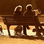 people, dogs, park bench